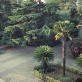 ...una rossa dimora dotata di un elegante giardino abbattuta negli anni 80...